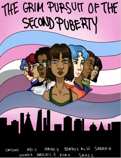 zine cover: phalanx of people holding different identities in front of a transgender flag over a cityscape