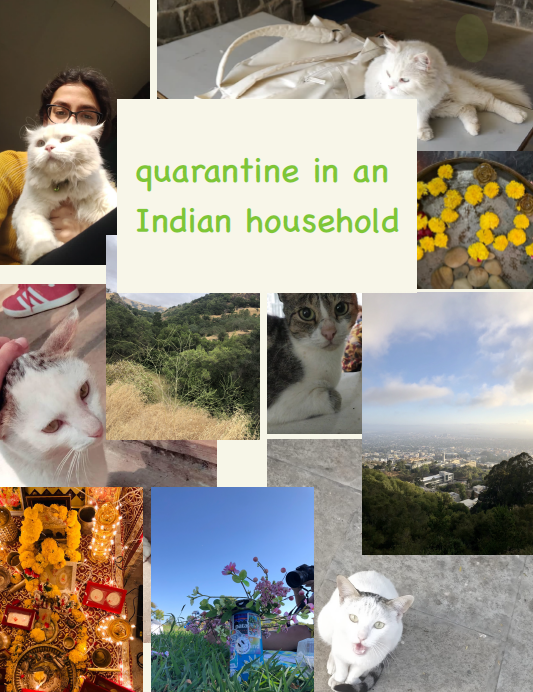 zine cover: photo collage, lots of cats
