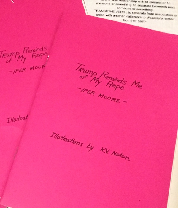 Photo of two copies of the zine. Hot pink covers. Text: title, author, and illustrator 