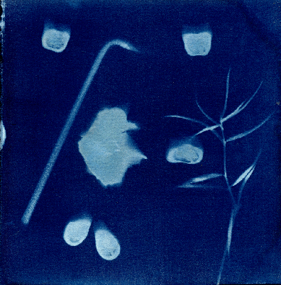 cyanotype print of a leaf, something that looks like an Allen wrench, and some blobs
