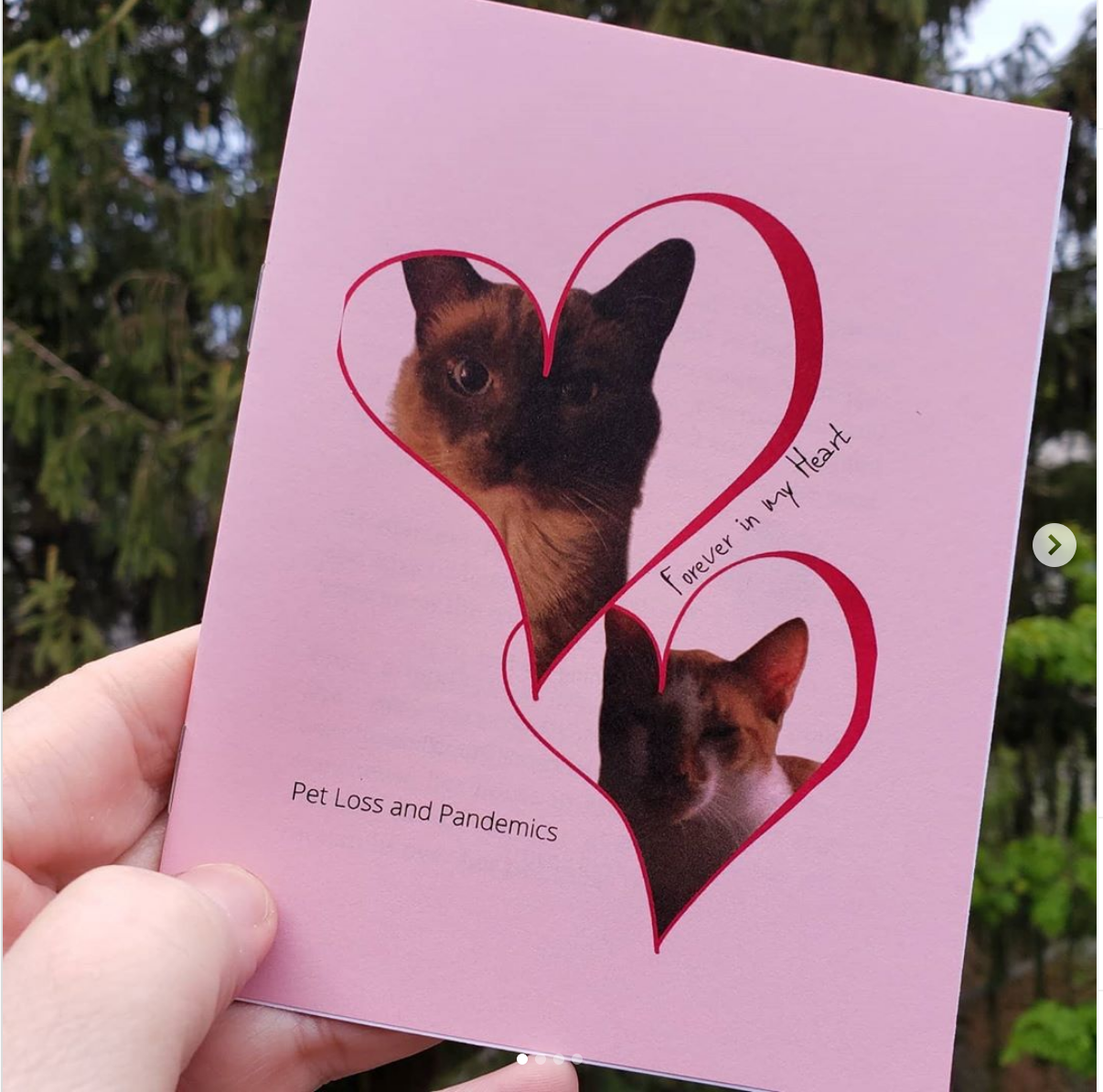 photo of person holding Forever in My Heart zine. Pink cover, photos of cats. 